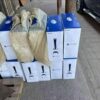 Ps5 pallets - Image 6