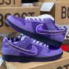 Dunk Purple Lobster - Image 3